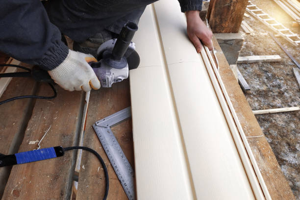 Best Steel Siding Installation  in Ignacio, CO